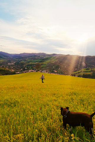 imagem artigos BEing (lost)