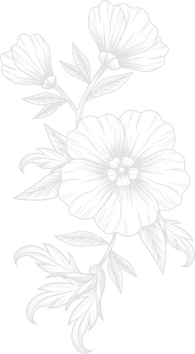 ilustrative flower