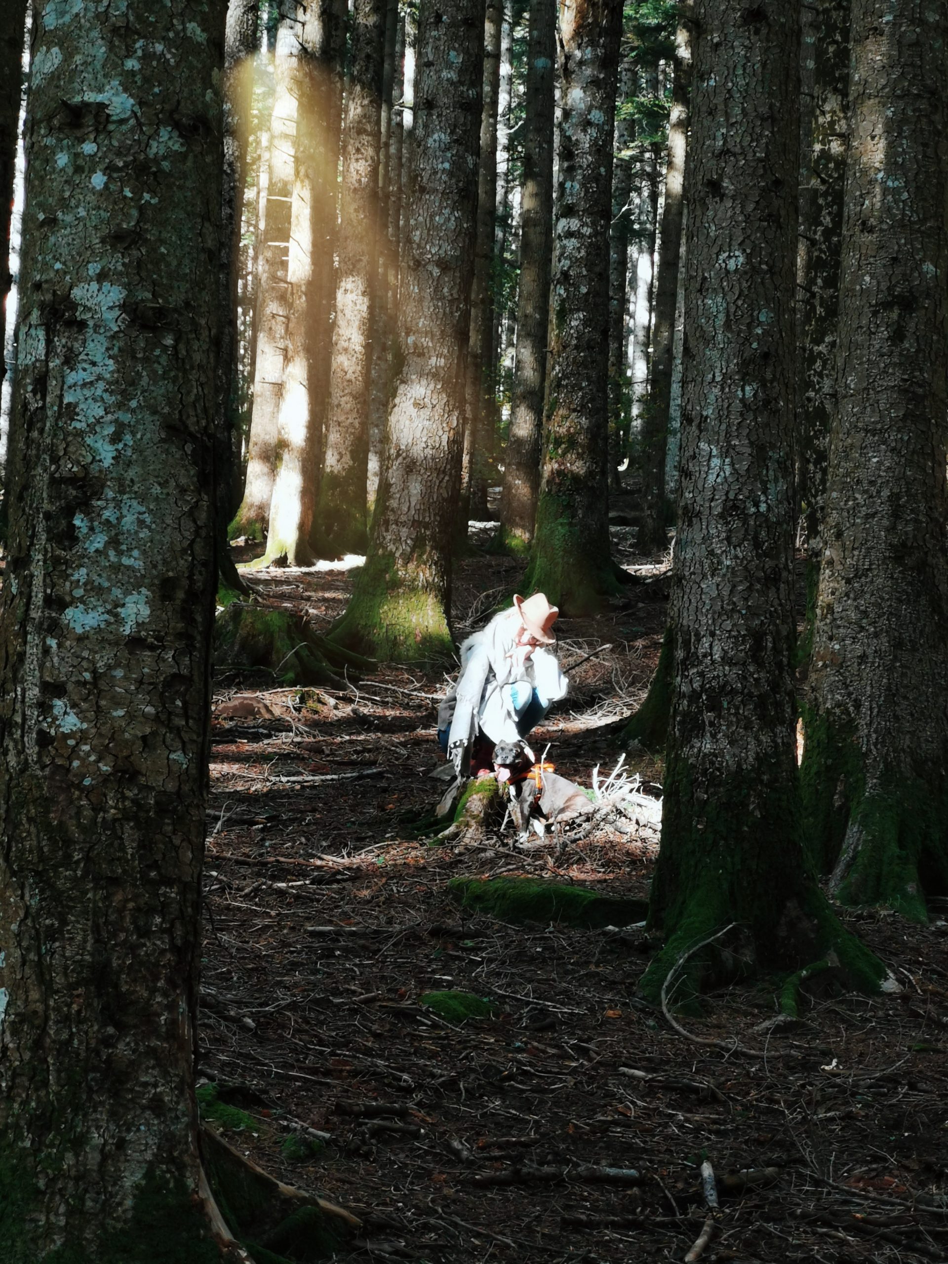 imagem artigos Van lijden naar leiden