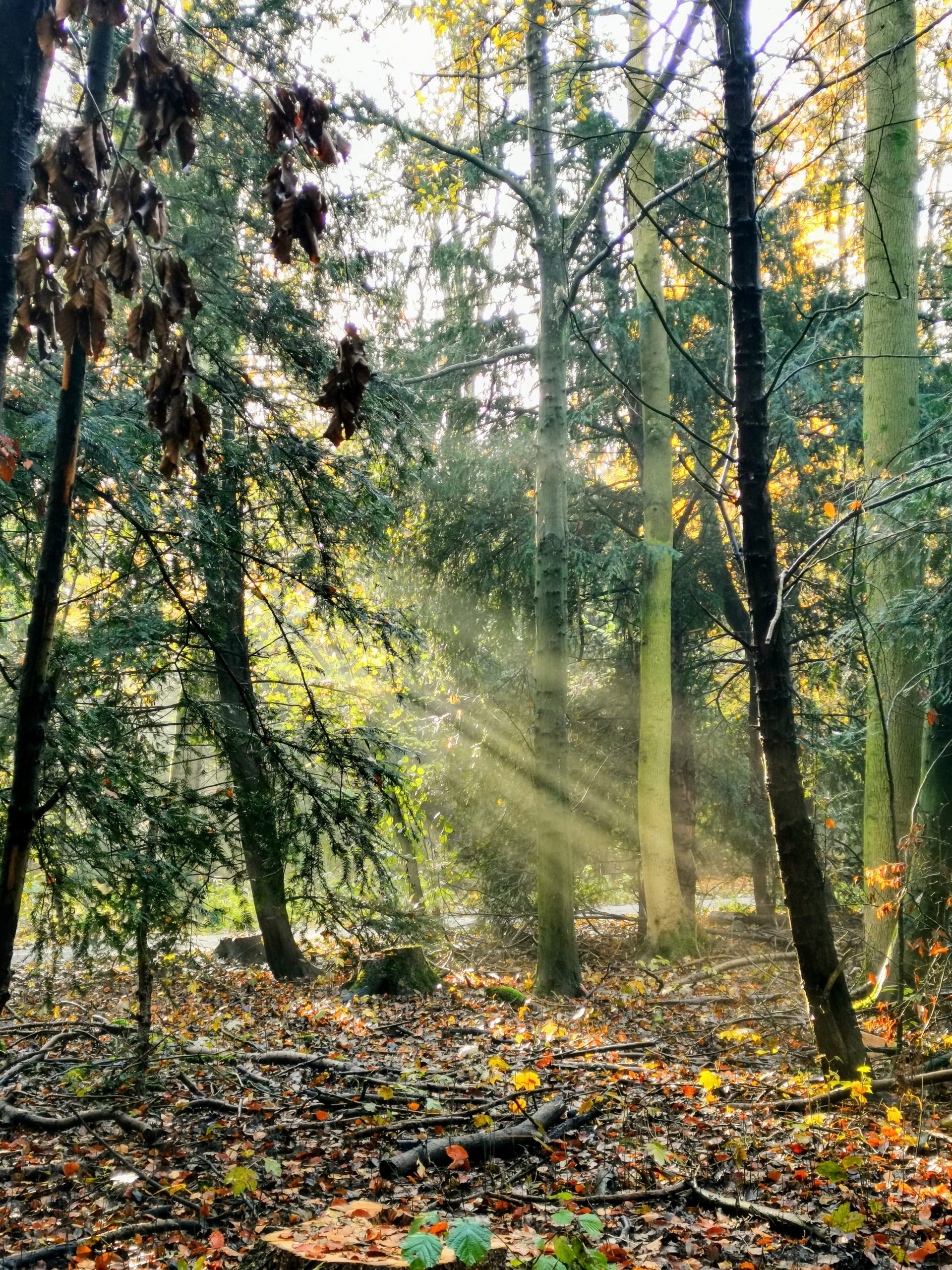 imagem artigos Be(coming) NO-thing