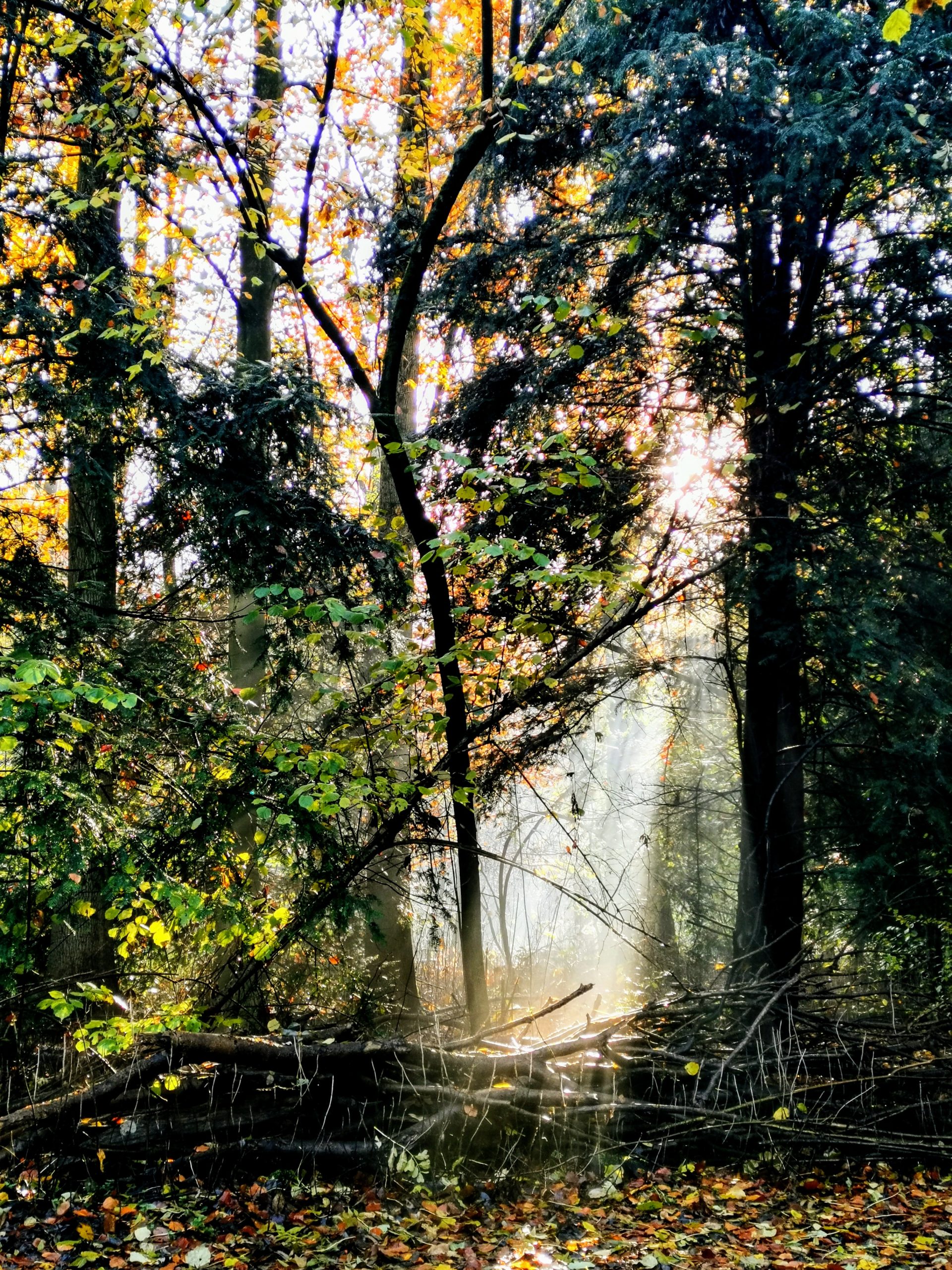 imagem artigos Trigger bingo